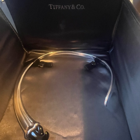 Tiffany & Co. Elsa Peretti RARE Black Jade Claw Necklace Silver AUTHENTICATED! - Picture 6 of 16